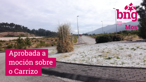 Aprocarrizo