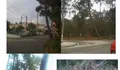 Unha árbore ten  perigo de caer ao lado do colexio de Petelos. 