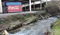O BNG reclama unha recuperación integral do río Louro