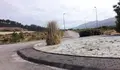 O carrizo, un perigo inmenente
