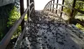O BNG de Mos denuncia o perigo da ponte de madeira no paseo do Río Louro