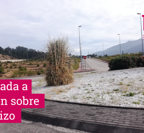 Aprocarrizo