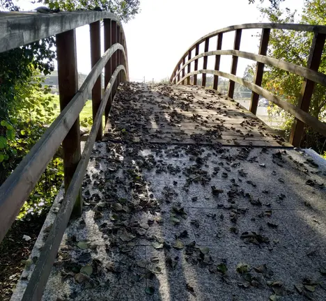 Ponte paseo Louro 1