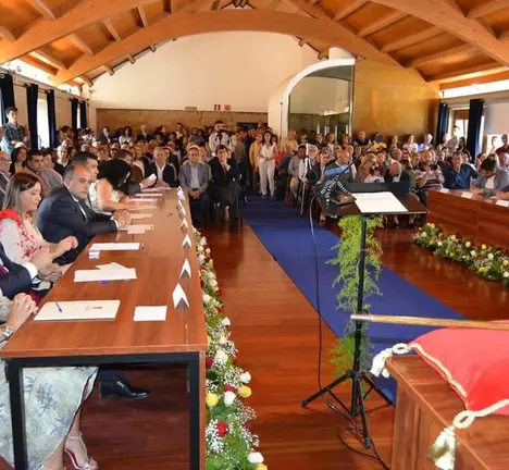Pleno investidura