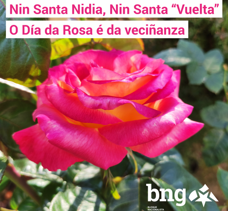 Rosa